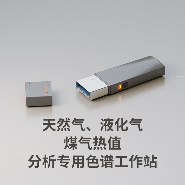 天然氣、液化氣、煤氣熱值分析專(zhuān)用色譜工作站