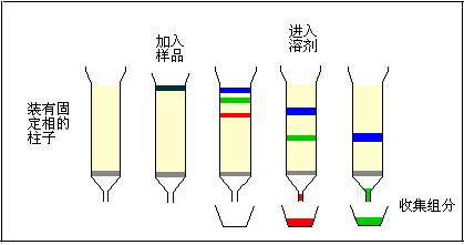 雙環戊二烯的氣相色譜分析
